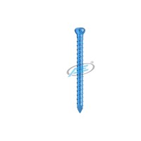 Titanium 3.9mm Locking Bolt